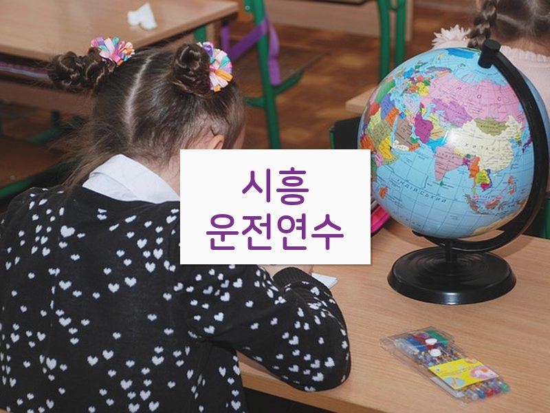 시흥운전연수 후기