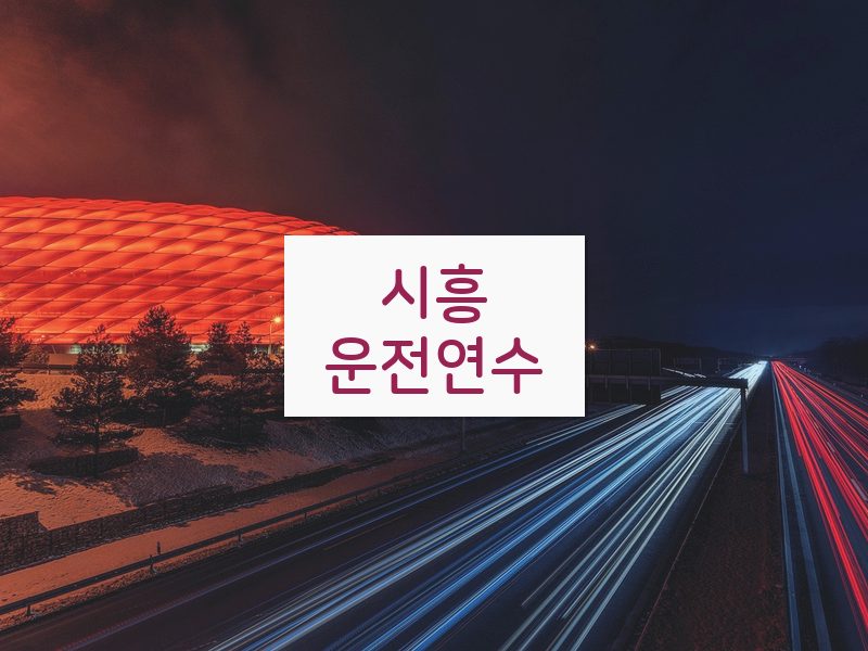 시흥운전연수 후기
