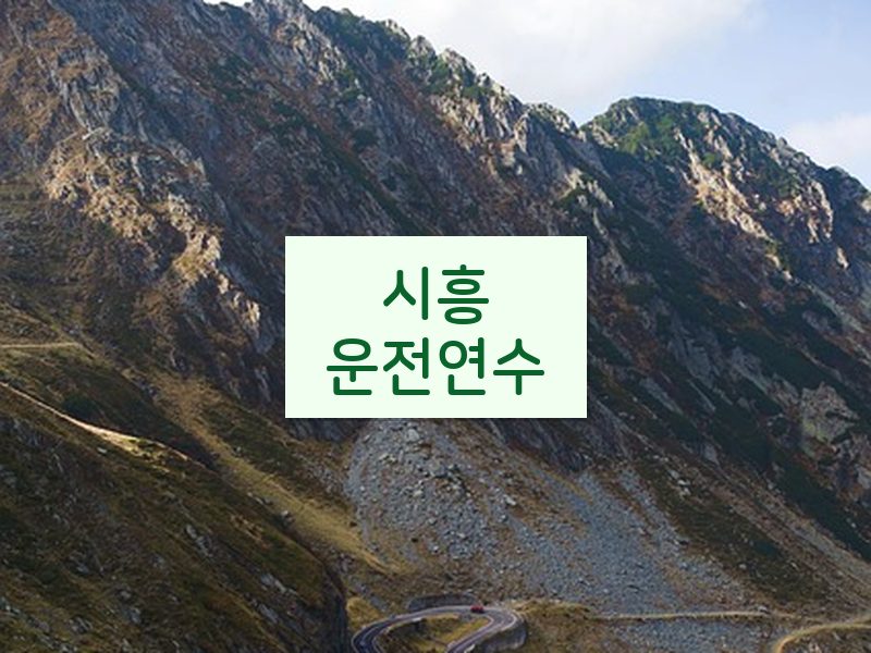 시흥운전연수 후기