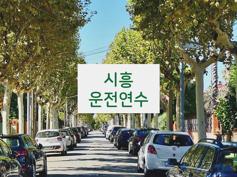 시흥운전연수 후기