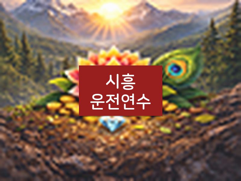시흥운전연수 후기