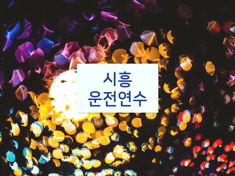 시흥운전연수 후기