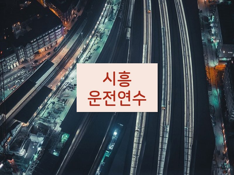 시흥운전연수 후기