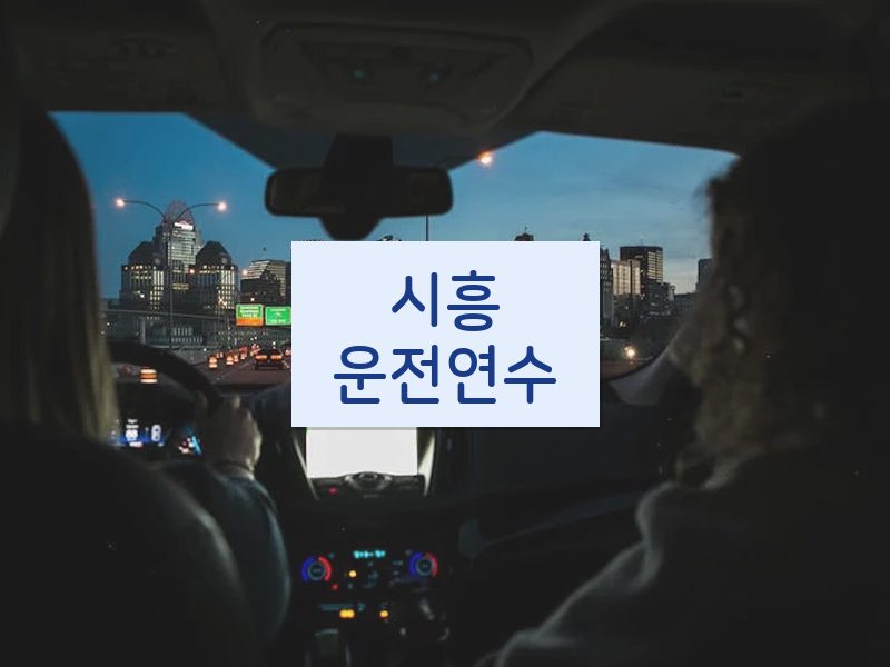 시흥운전연수 후기