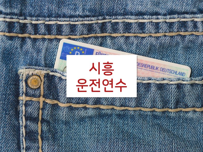 시흥운전연수 후기