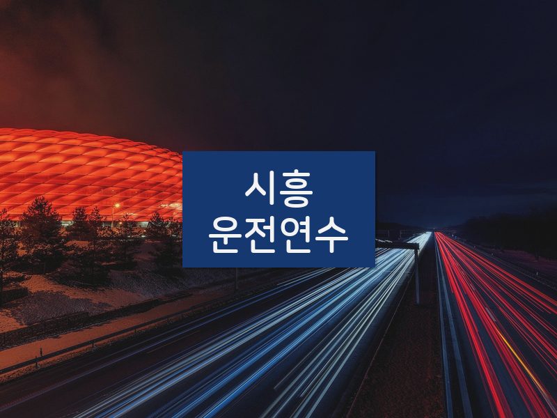 시흥운전연수 후기