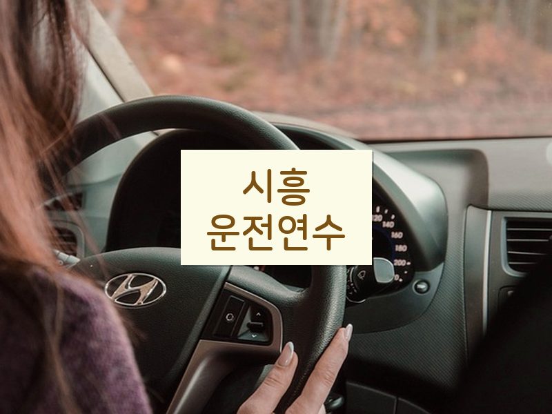 시흥운전연수 후기