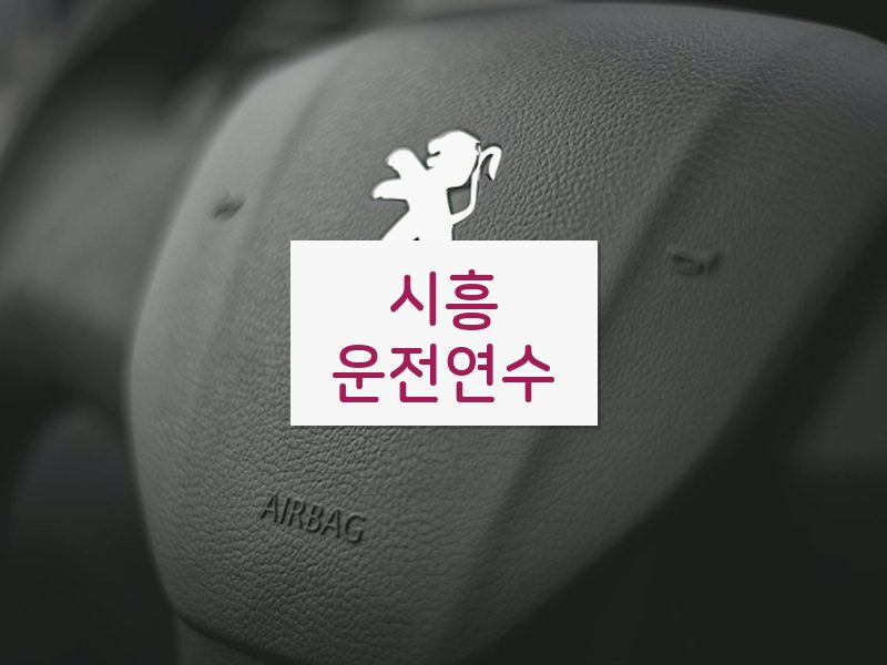 시흥운전연수 후기