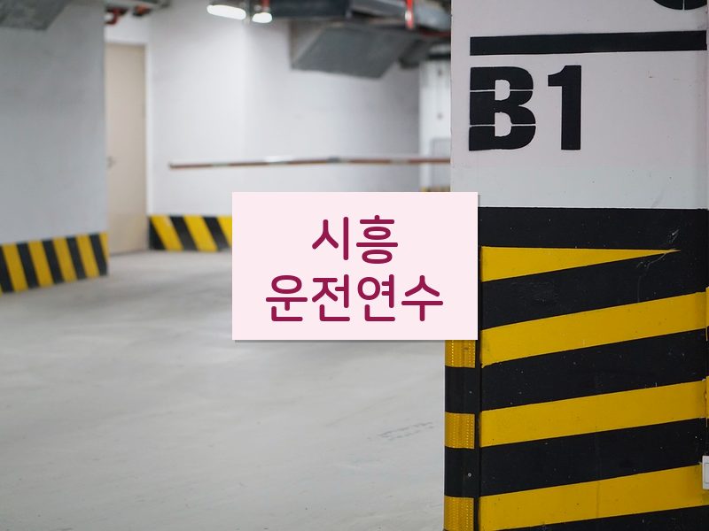 시흥운전연수 후기