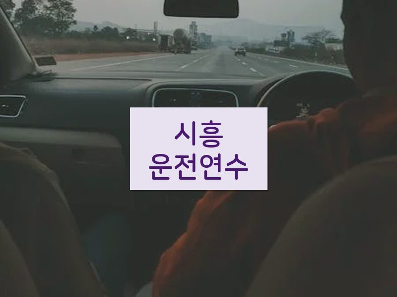 시흥운전연수 후기