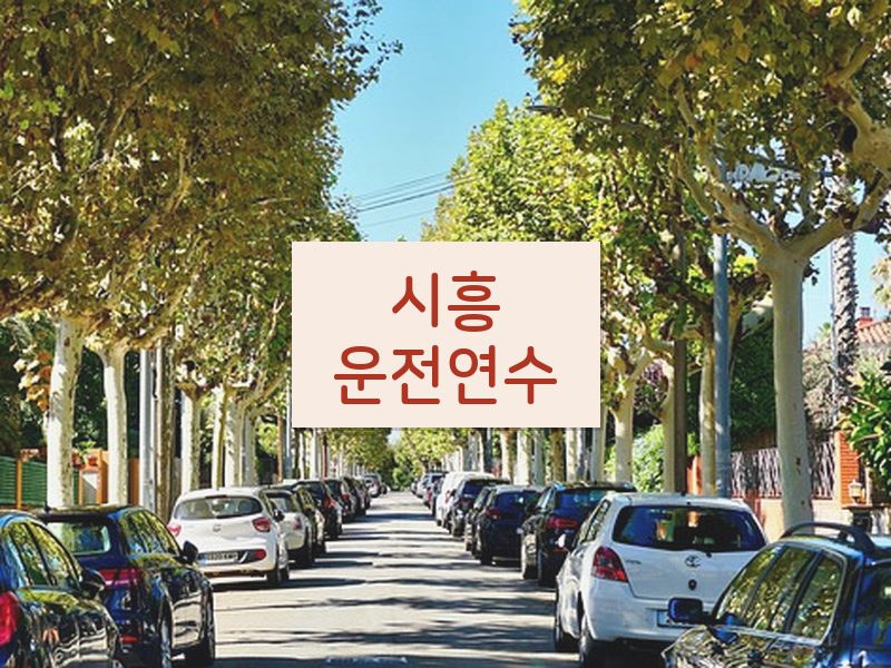 시흥운전연수 후기