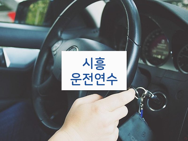 시흥운전연수 후기