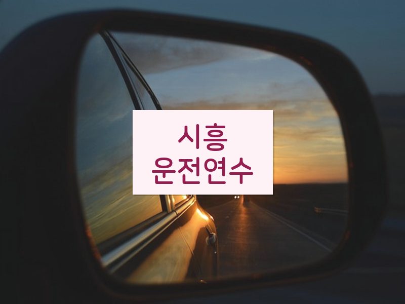 시흥운전연수 후기