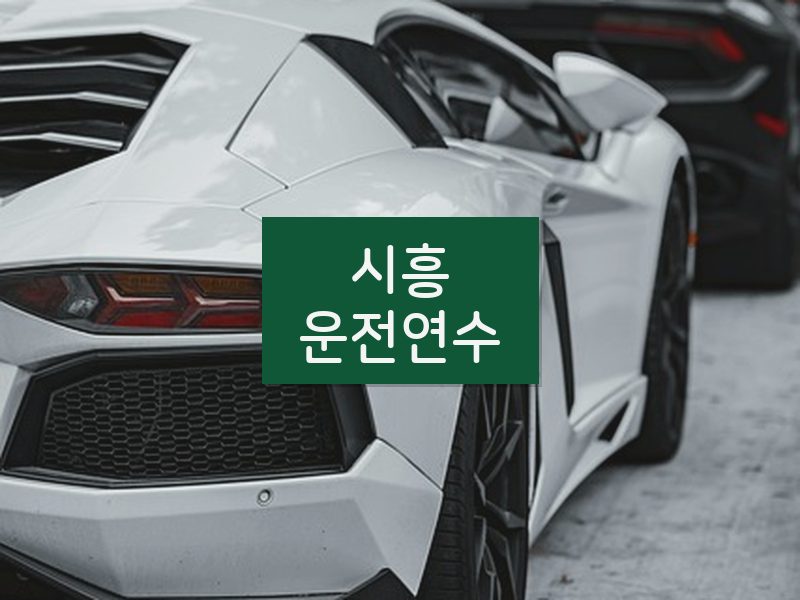 시흥운전연수 후기