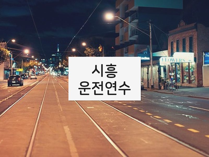 시흥운전연수 후기