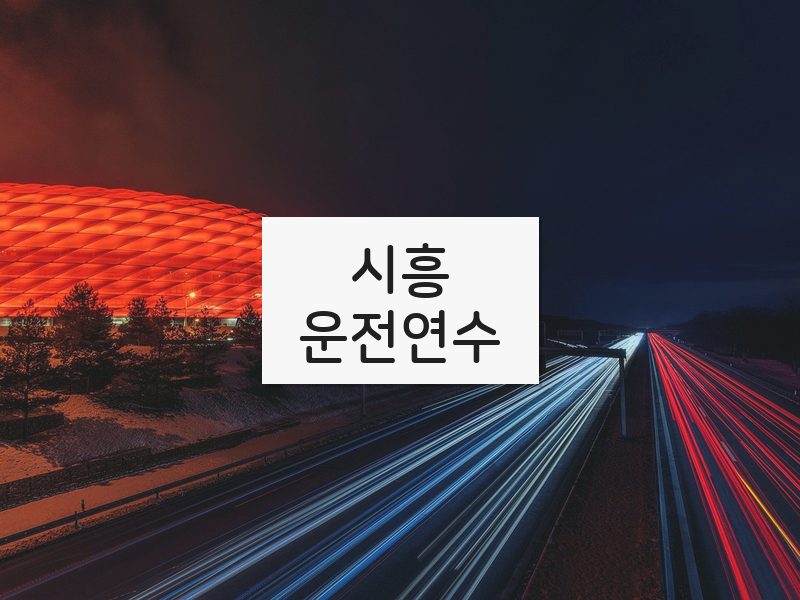 시흥운전연수 후기