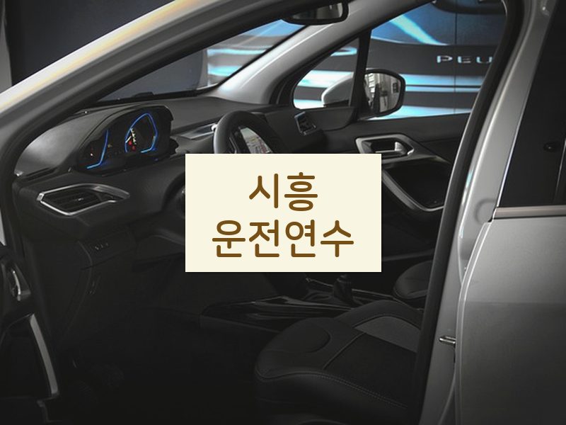 시흥운전연수 후기