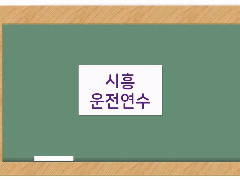 시흥운전연수 후기