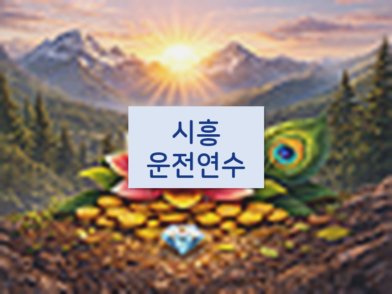 시흥운전연수 후기