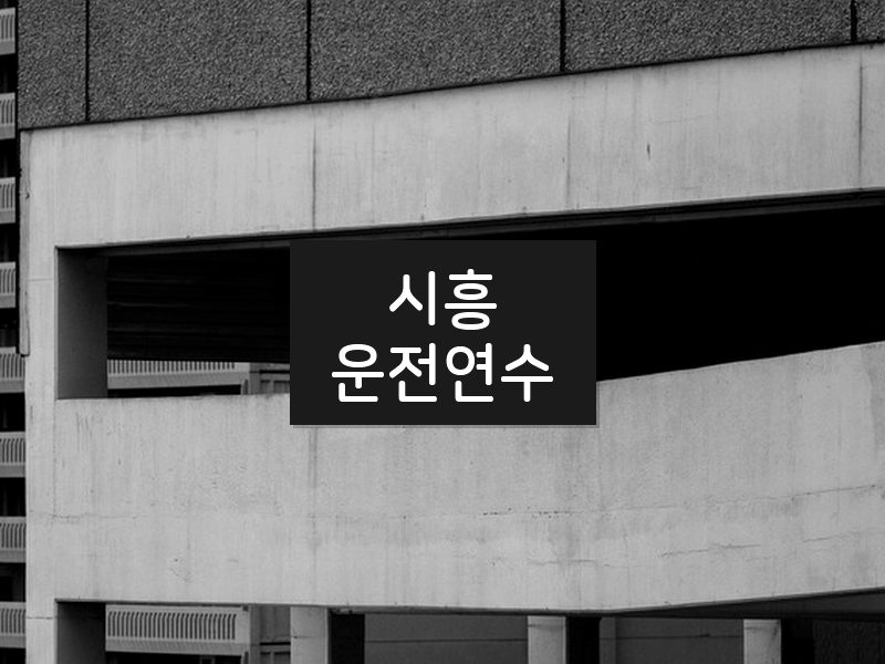 시흥운전연수 후기