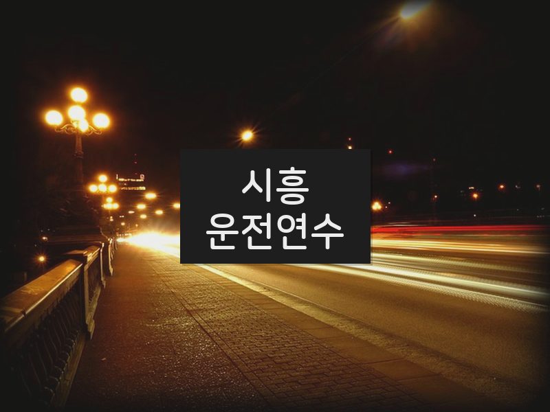 시흥운전연수 후기