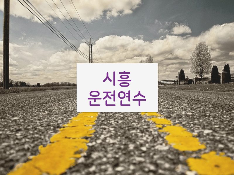 시흥운전연수 후기