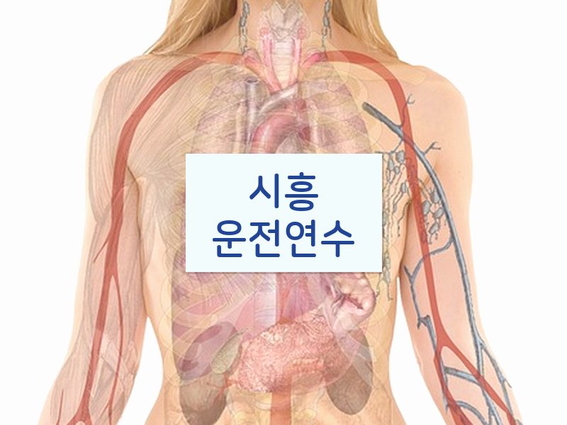 시흥운전연수 후기