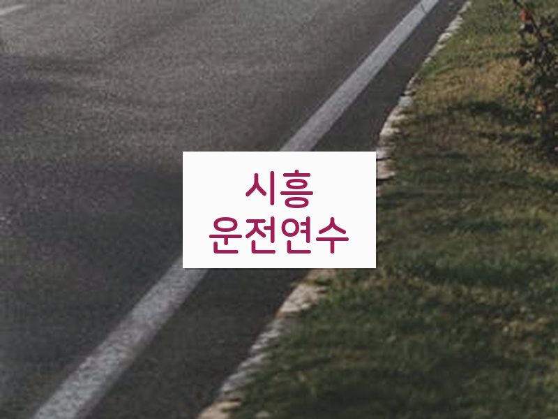 시흥운전연수 후기