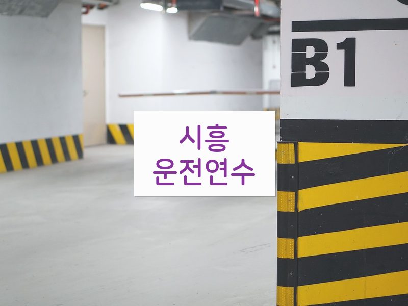 시흥운전연수 후기