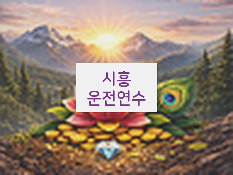 시흥운전연수 후기