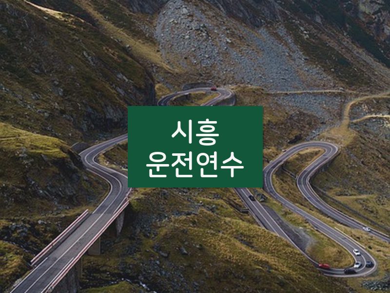시흥운전연수 후기