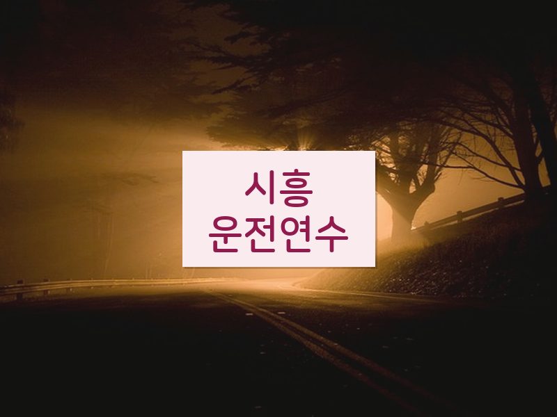 시흥운전연수 후기