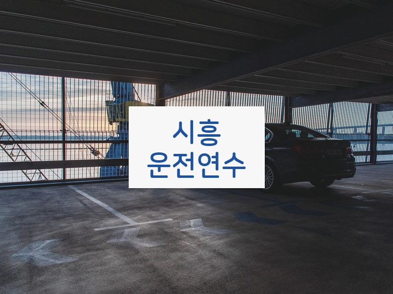 시흥운전연수 후기