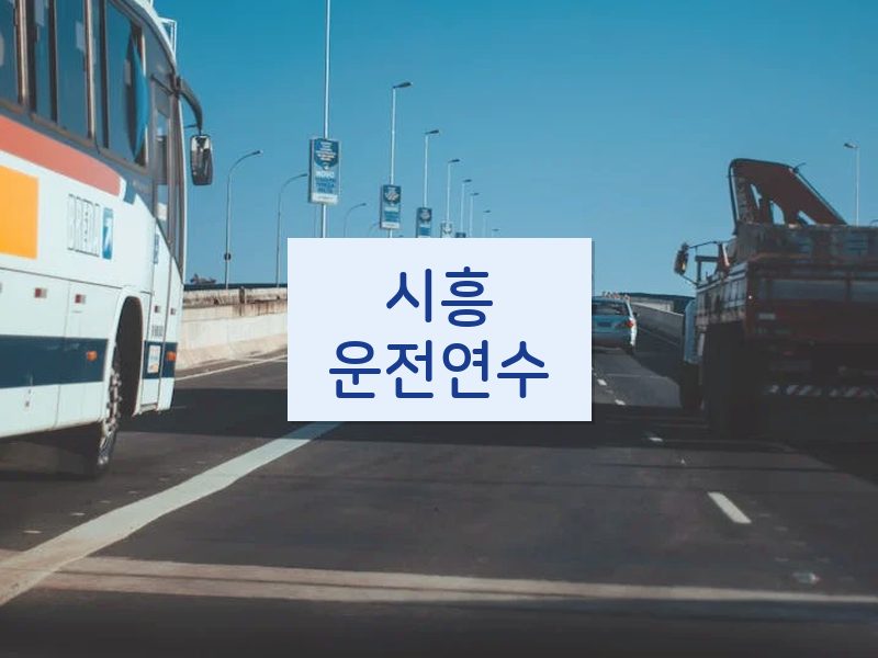 시흥운전연수 후기