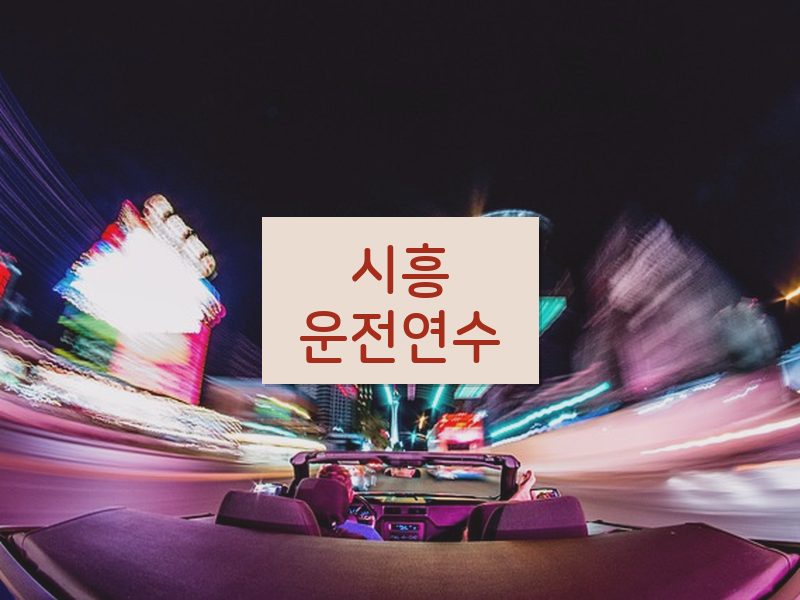 시흥운전연수 후기