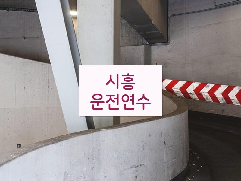 시흥운전연수 후기