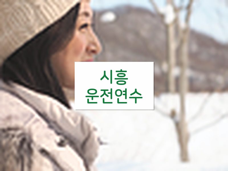 시흥운전연수 후기