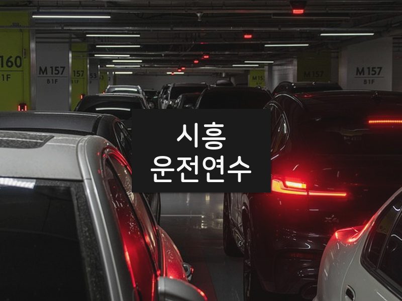 시흥운전연수 후기