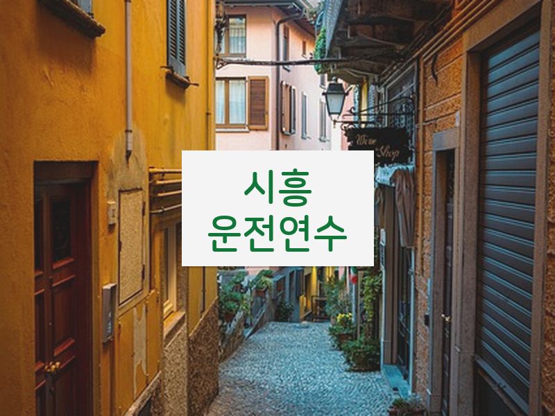 시흥운전연수 후기