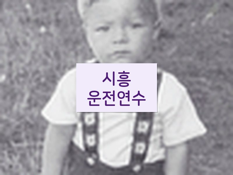 시흥운전연수 후기