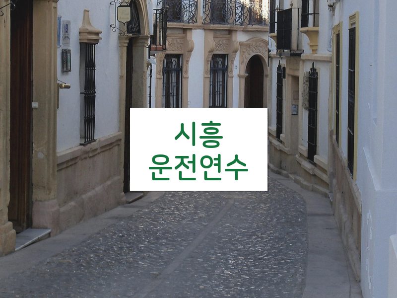 시흥운전연수 후기