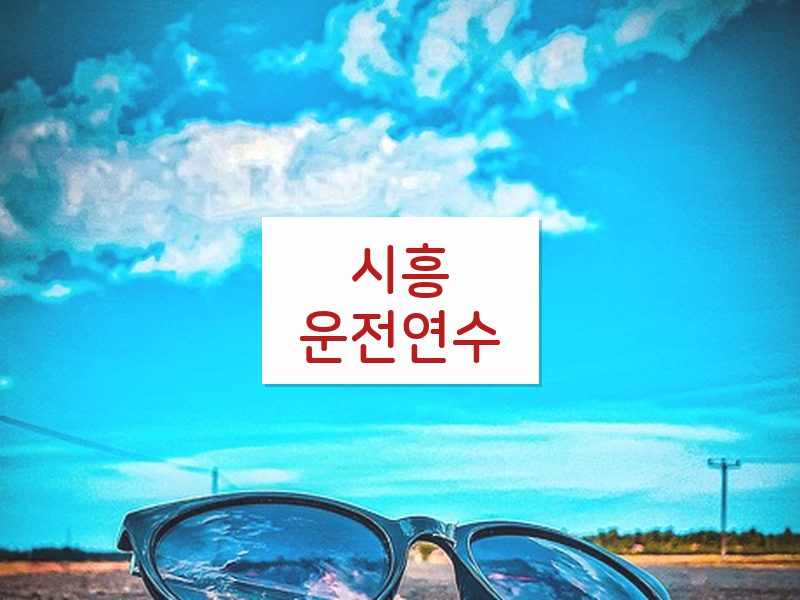 시흥운전연수 후기