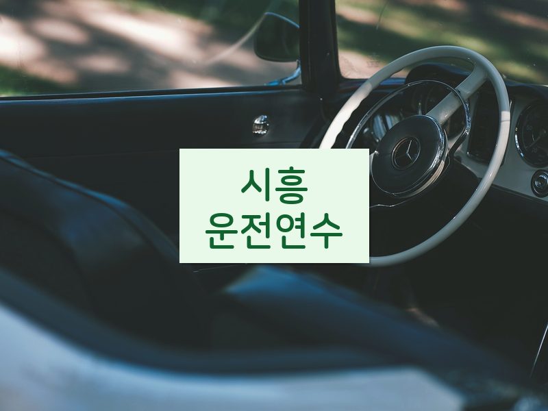 시흥운전연수 후기