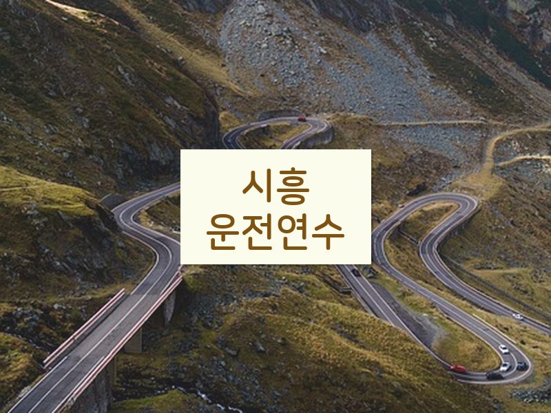 시흥운전연수 후기