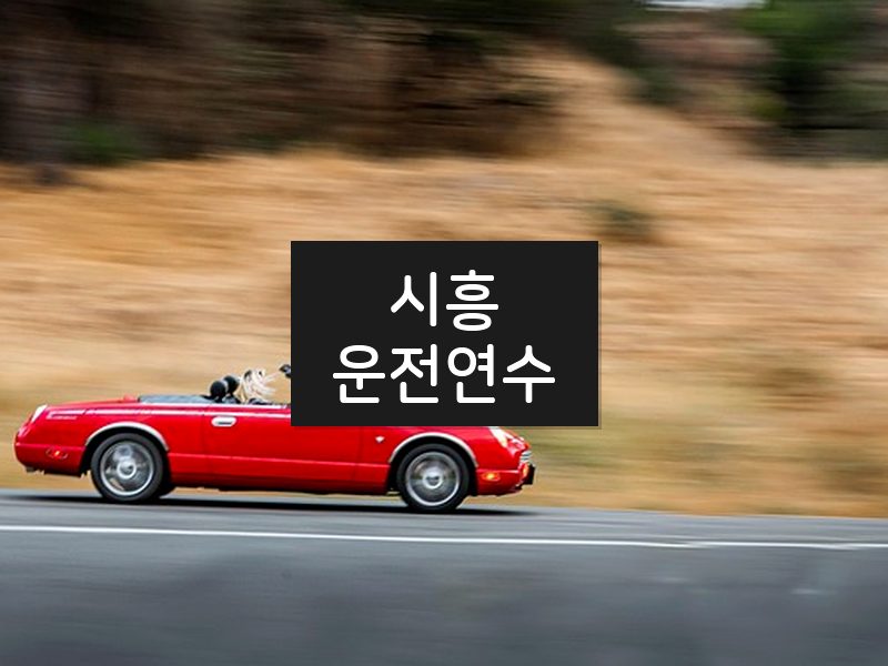 시흥운전연수 후기