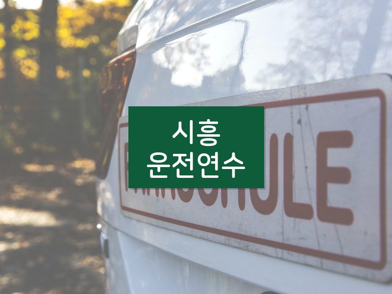시흥운전연수 후기