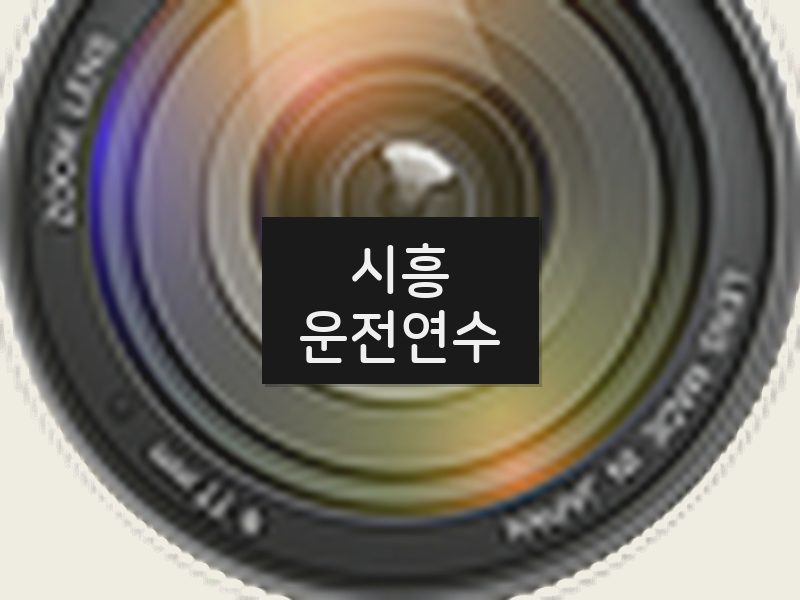 시흥운전연수 후기