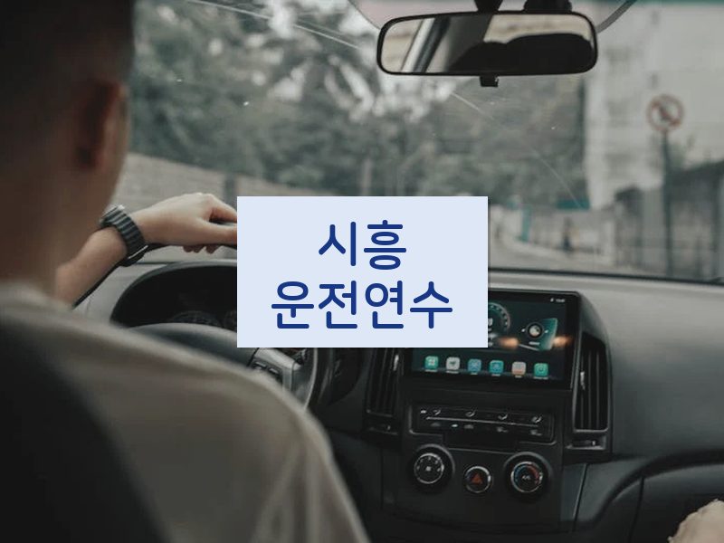 시흥운전연수 후기