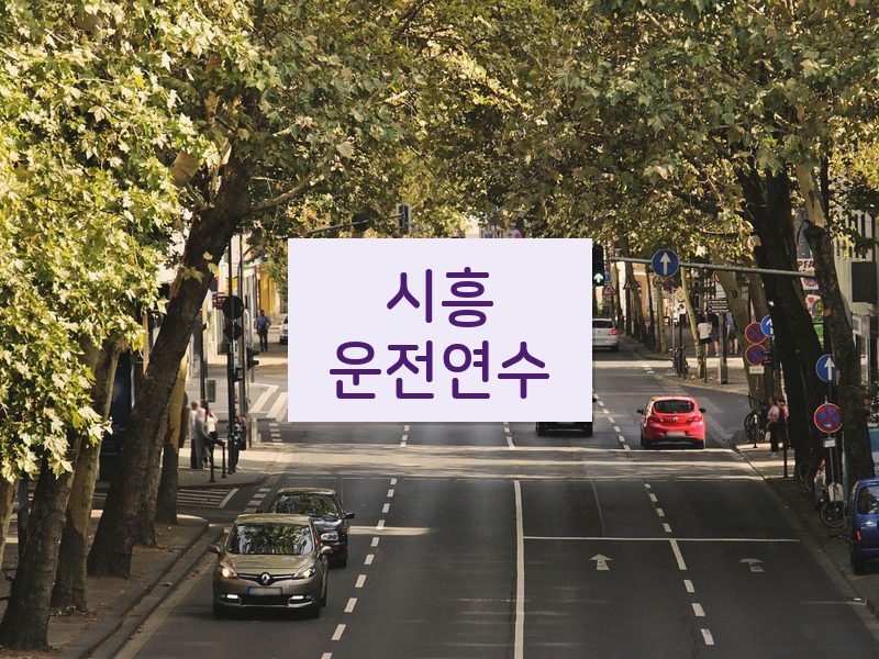 시흥운전연수 후기