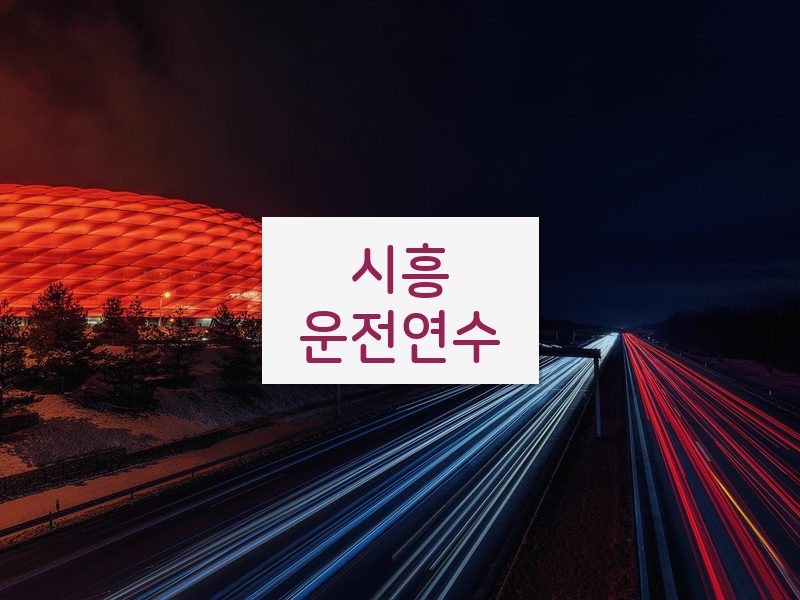 시흥운전연수 후기